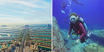 Scuba Diving + The View At The Palm